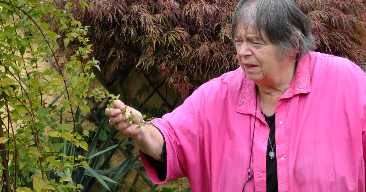 Billedet viser en kvinde i en lyserød skjortebluse, som rører ved en plante i en have.