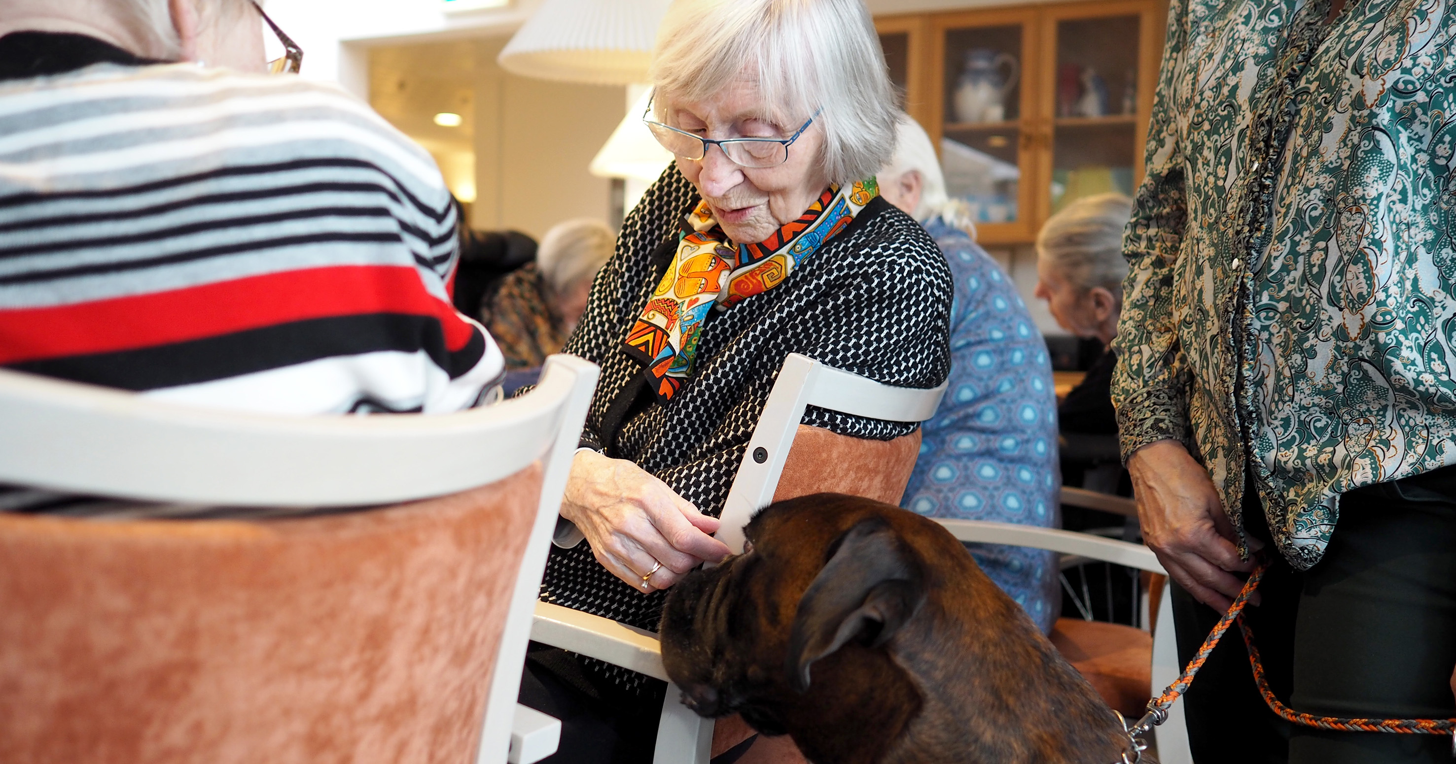 En kvinde på plejehjem hilser på en hund.