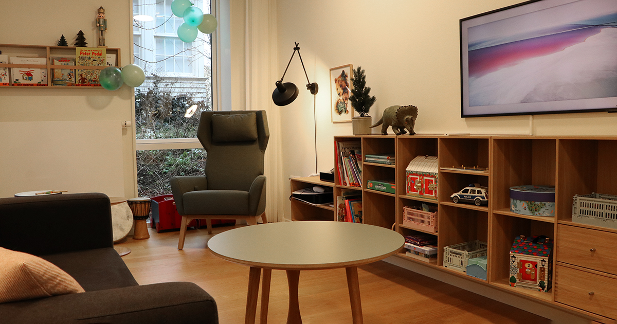 Billedet viser et rum med sofa, reol, tv og legetøj på hylderne.